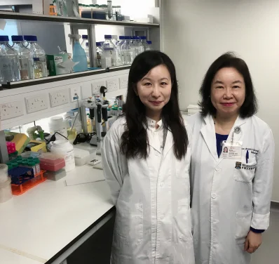HKU discovers new potential targeted approach 
in the treatment of ovarian cancer
