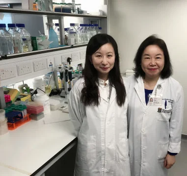HKU discovers new potential targeted approach 
in the treatment of ovarian cancer