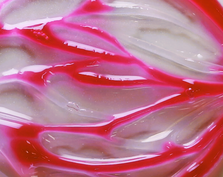 VasFluidic channels perfused with liquid inside  