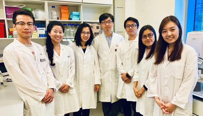HKU Develops a New Platform for Accelerating Protein Engineering and
Optimising CRISPR Protein for Higher Fidelity in Gene Editing