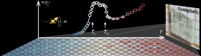 Confirming simulated calculations with experiment results
New paradigm on quantum material research reveals topological KT phase of TMGO for the first time