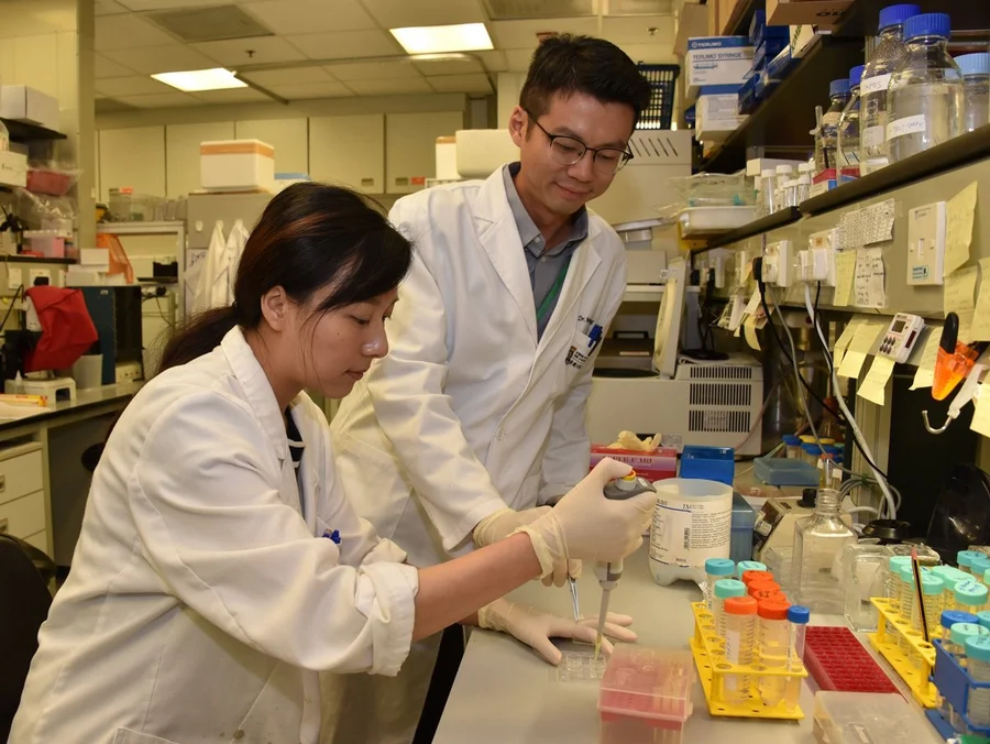 The research team led by Dr Martin Cheung Chi-hang discovers new function of a metastasis suppressor DLC1 in governing neural crest directional migration.