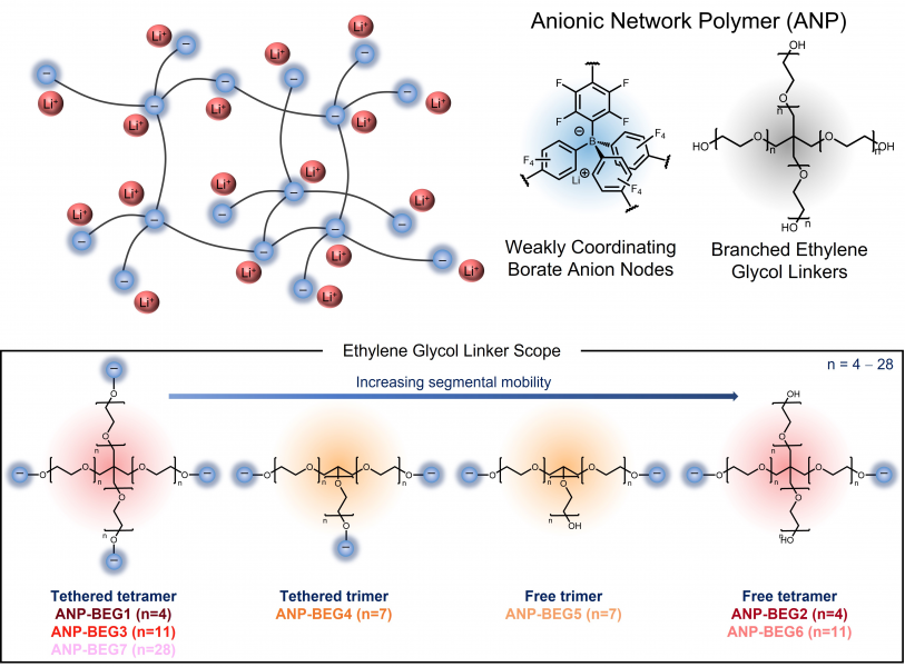 Anionic borate network polymers and linker scope