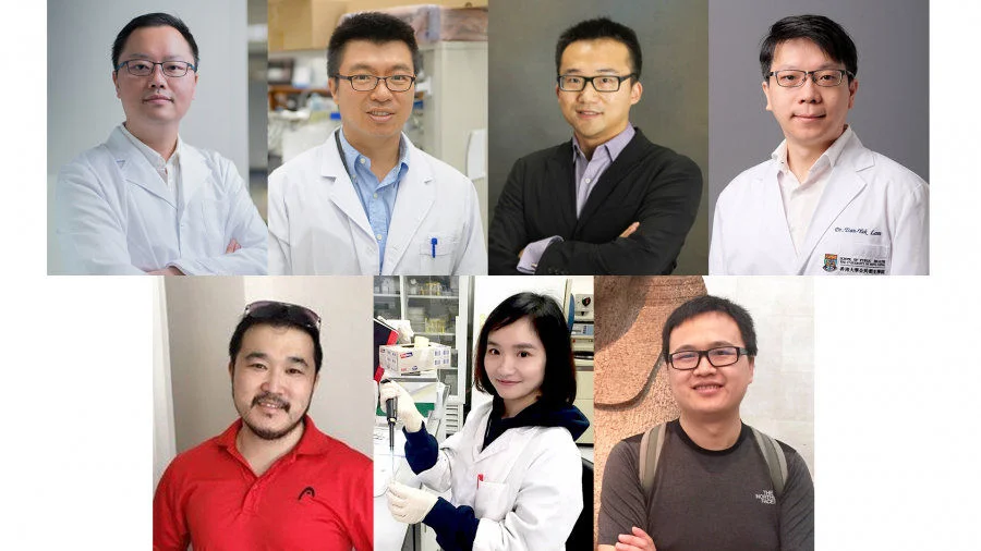Seven HKU young scientists awarded China's Excellent Young Scientists Fund (Hong Kong and Macau) Top row from left: Dr Li Xiang David, Dr Anderson Shum, Dr Hu Xiaoqing, Dr Lam Tsan Yuk. Bottom row from left: Dr Zhang Binzheng, Dr Hui Hannah Xiaoyan, Dr Wu Jin  