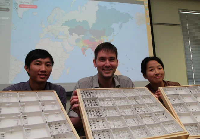 Looking for biodiversity? Follow the ants. 
- An international team from HKU and OIST launches the first online “antmaps” to visualise the global distribution of ants including 170 species from HK