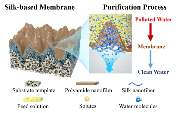 HKU Engineering Researchers Develop Revolutionary Silk-based Ultra-fast Filtration Membrane for Water Purification