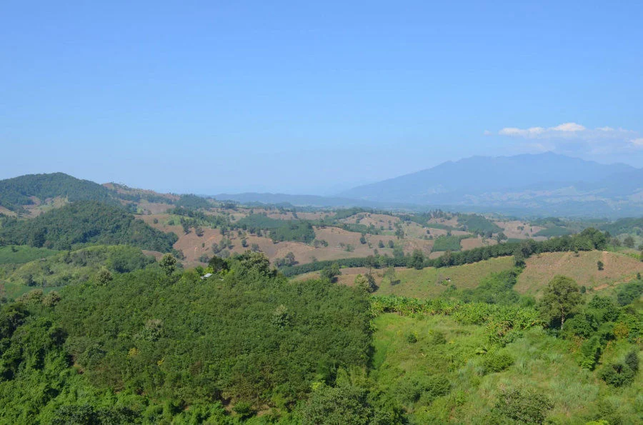 Forest loss in sloping lands replaced by agricultural plantation in Nan province, Thailand. (Image courtesy: Zhenzhong Zeng)
