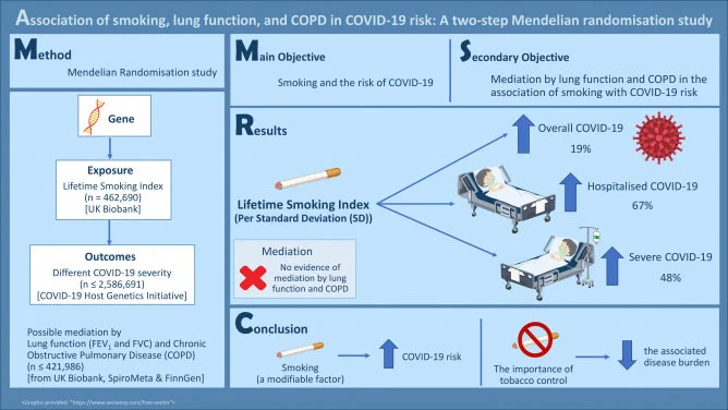 A joint HKU-CUHK study finds that smoking 
increases the risk of COVID-19