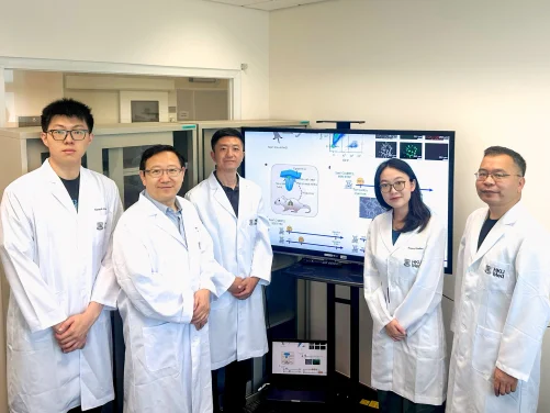 HKUMed uncovers world’s first ‘hidden’ peripheral neural stem cells, revolutionising regenerative medicine