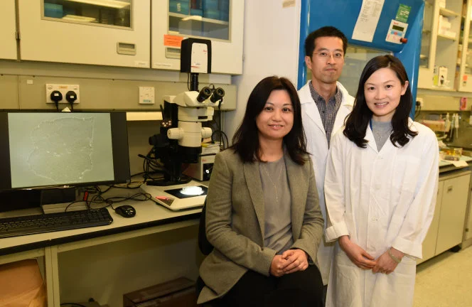 HKU Establishes a Stem Cell Based Model for Identification of 
Novel DNA Changes in Patients with Hirschsprung Disease