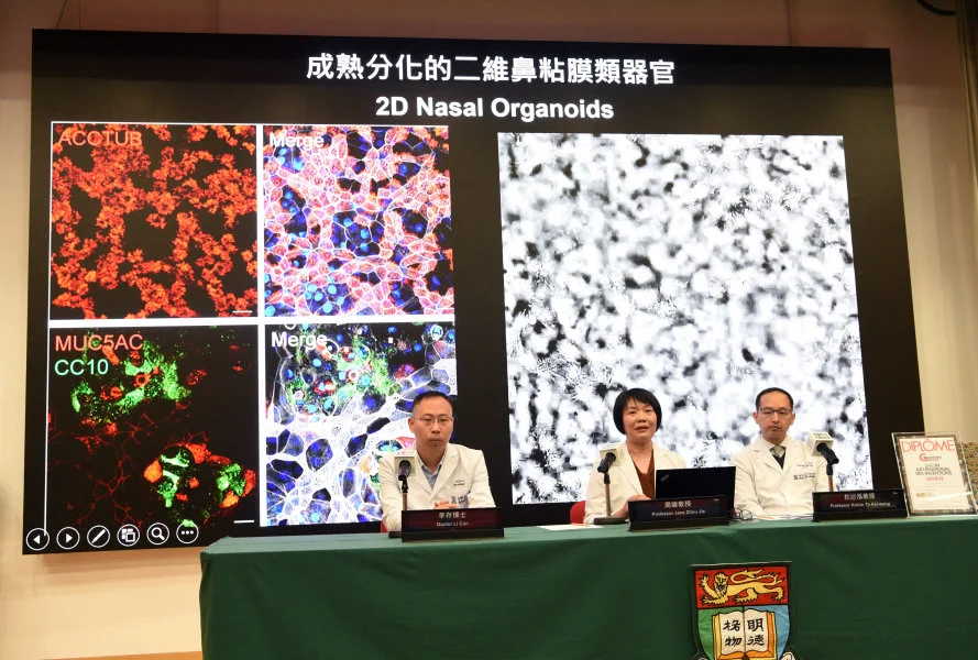 At the press conference (from right): Professor Kelvin To Kai-wang, Department Chairperson; Professor Jane Zhou Jie; and Dr Li Cun; all from the Department of Microbiology, School of Clinical Medicine, HKUMed. The HKUMed research team has successfully cultured HRV-C using their award-winning Human Respiratory Organoids, which previously earned a Gold Medal at the Geneva Exhibition of Inventions. Their work is advancing antiviral and vaccine research for this common cold virus.  