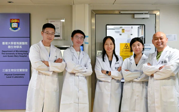 Breakthrough in coronavirus fight: HKUMed develops powerful bispecific inhibitor to combat a wide range of coronaviruses