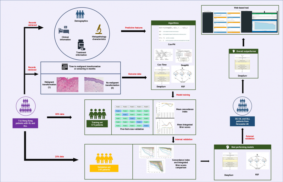 Schematic diagram of analyses performed leading to the selection of ‘DeepSurv’ for cancer risk prediction in OL/OLM.  