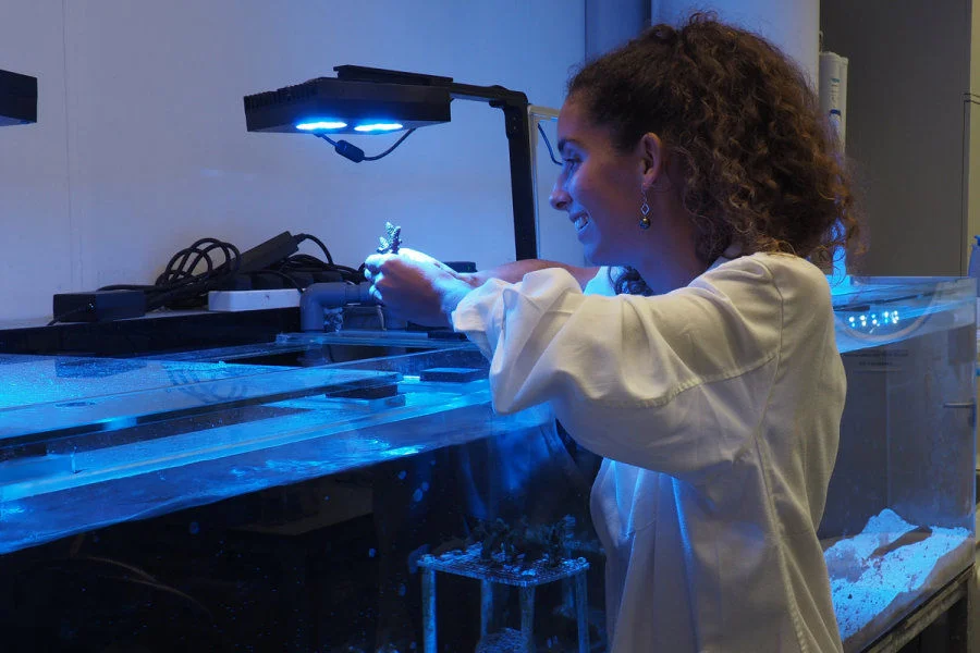 5. Dr. Isis Guibert inspecting a coral nubbin (Credit: Taylor Bogar)