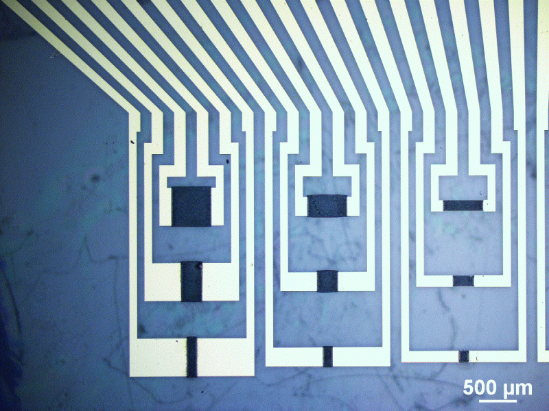 Organic electrochemical memory transistors with different physical dimensions   
