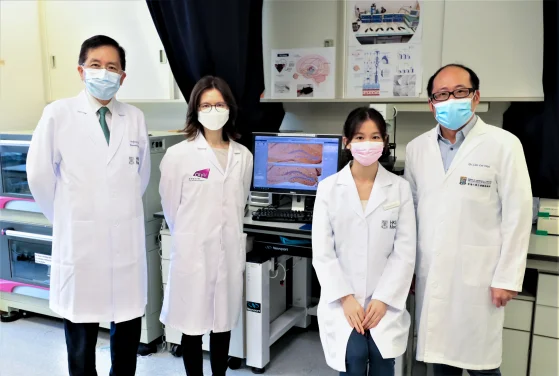 HKUMed & CityU researchers jointly discover non-invasive stimulation of the eye for depression and dementia