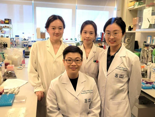 HKUMed unveils mechanisms of Chchd10 regulation in adipose tissue homeostasis, key to effective obesity management