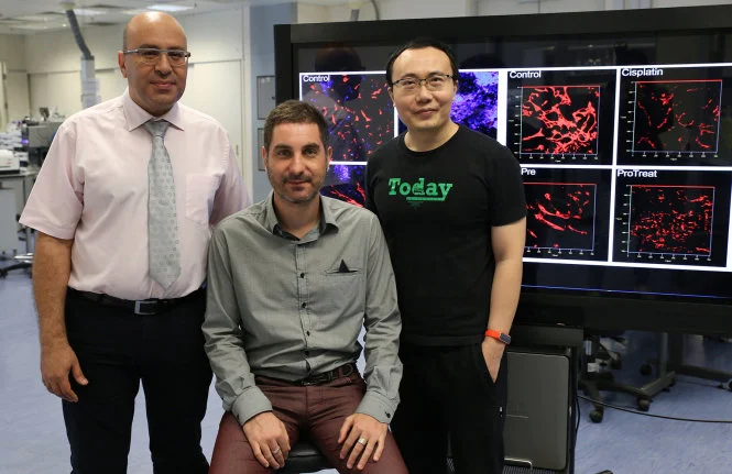 HKU develops novel probiotic mixture “Prohep” that may offer potential therapeutic effects on liver cancer