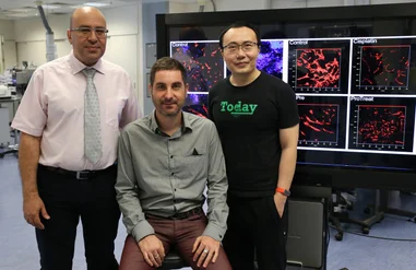 HKU develops novel probiotic mixture “Prohep” that may offer potential therapeutic effects on liver cancer