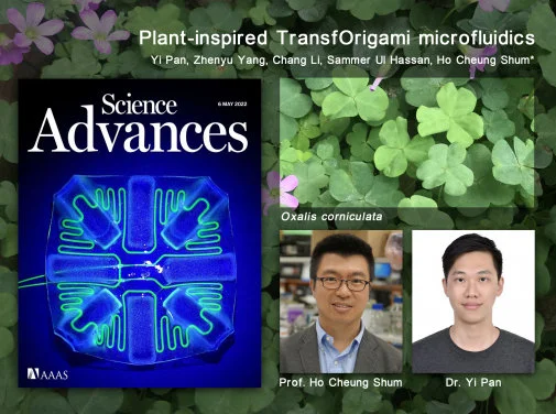 HKU researchers develop transformable 3D origami microfluidics 
inspired by clover plant