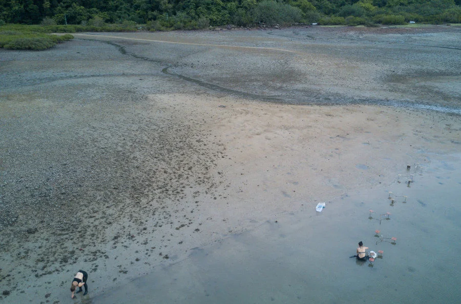 Most people associate oysters with food, but less well-known is that oysters create reef habitats that support coastal marine life. ©Karsten Heinrich/Courtesy TNC  