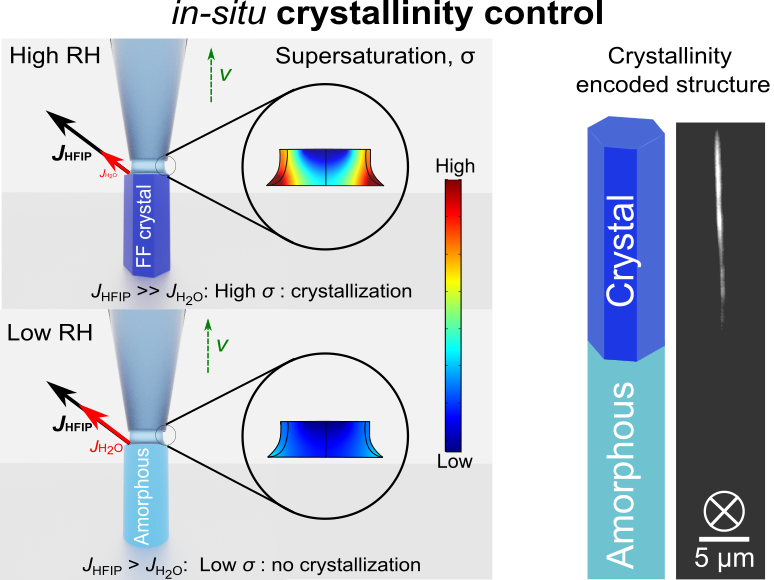 Scheme: 3D printing process of polarization-encoded 3D micro-pixels  