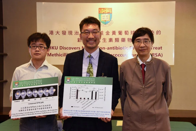HKU Discovers Novel Non-antibiotic Drugs to Treat 
Methicillin Resistant Staphylococcus Aureus (MRSA) Infections