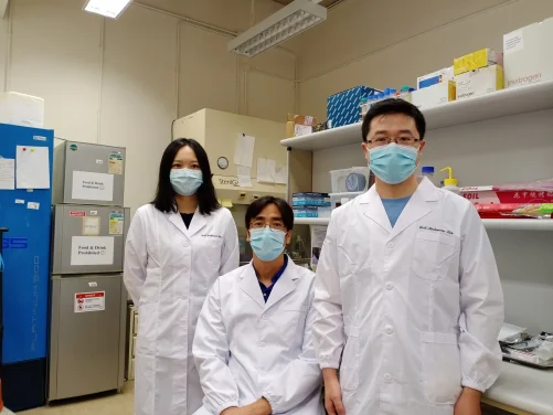 HKU scientists research breakthrough in cell mechanics 
discovers abnormal embryo elongation for early treatment