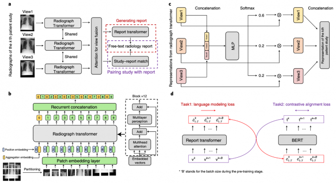 HKU engineering team develops new AI algorithms
for high accuracy and cost effective medical image diagnostics