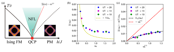 (a) Schematic phase diagram of ferromagnetic NFL, with the expected power-law behave in self-energy. (b) Self-energy calculated from quantum Monte Carlo simulation. It appears to have a slow diverging form. (c) NFL self-energy revealed after deduction of the thermal contribution. The black dashed line shows the theoretical prediction of zero-temperature NFL self-energy, while the red dashed line marks the low-frequency power-law form.   