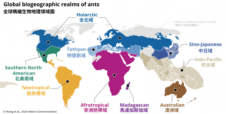 HKU Ecologists Firstly Put an Insect Group on a Century-old Map of Biodiversity