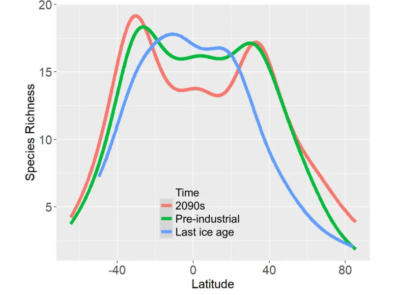 Image 3: Biodiversity patterns with latitudes in three different time periods. Note the equatorial 