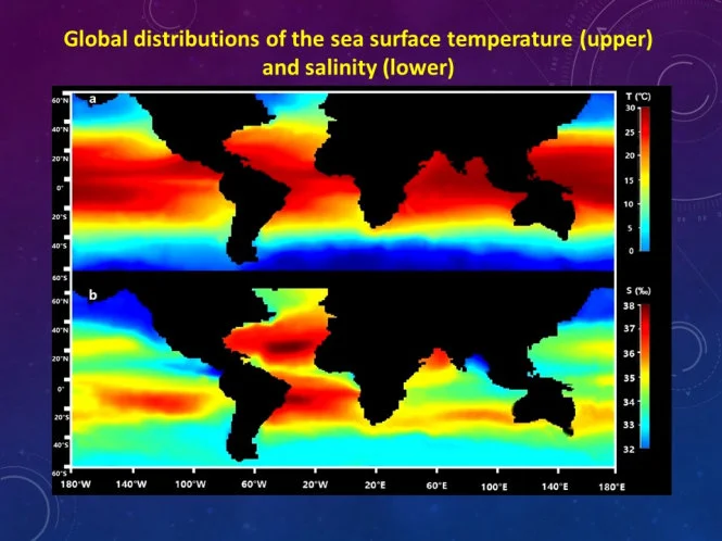 HKU and Chinese Research Academy of Environmental Sciences jointly develop a novel scientific method to derive water quality criteria of metals for protecting different marine ecosystems worldwide