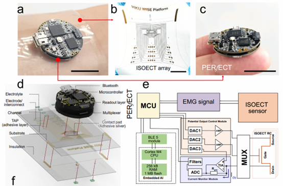 The wearable in-sensor computing platform for health monitoring.  