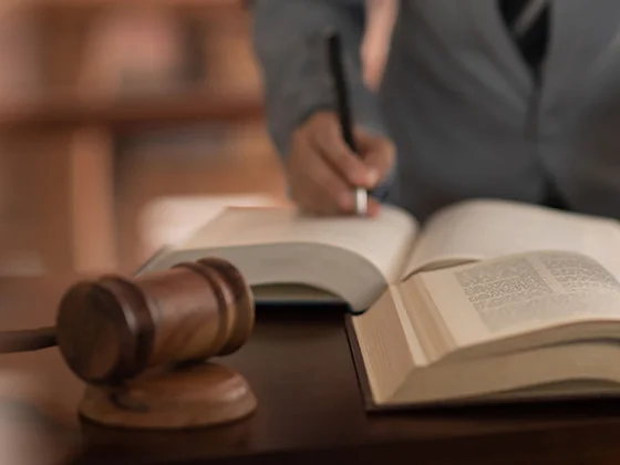 HKU Department of Politics and Public Administration