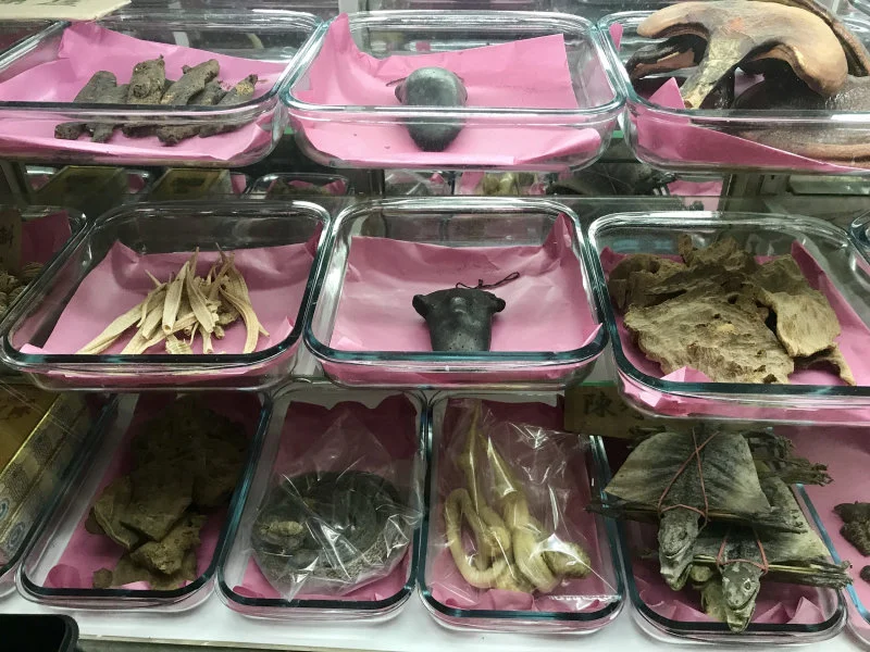 USD billions of wildlife and wildlife products are traded internationally without species-level traceability. Photo courtesy: Astrid Andersson  