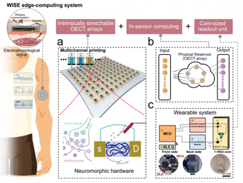 HKU Engineering team develops soft microelectronics technologies enabling wearable AI for digital health