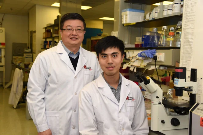 HKU Virologists Reveal Interplay between CMV and HIV Infection Fosters Research Development and Strategy to Eradicate Latent Viruses