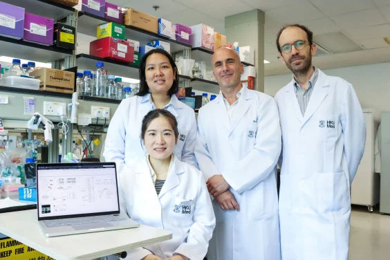 HKUMed resurrects 700 million-year-old genes to generate stem cells paving the way for next-generation therapies