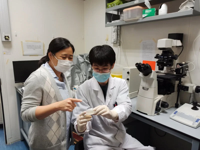 Associate Professor Dr Karen Wing Yee YUEN (on the left) and Postdoctoral Fellow Dr Zhongyang LIN from The School of Biological Sciences at HKU.  