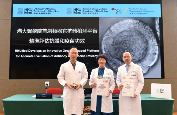HKUMed develops innovative organoid-based platform for 
precise evaluation of antibody and vaccine efficacy, accelerating FDA application of organoid technology