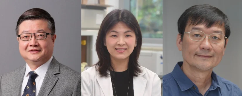 HKU researchers lead the largest share of projects in the Theme-based Research Scheme