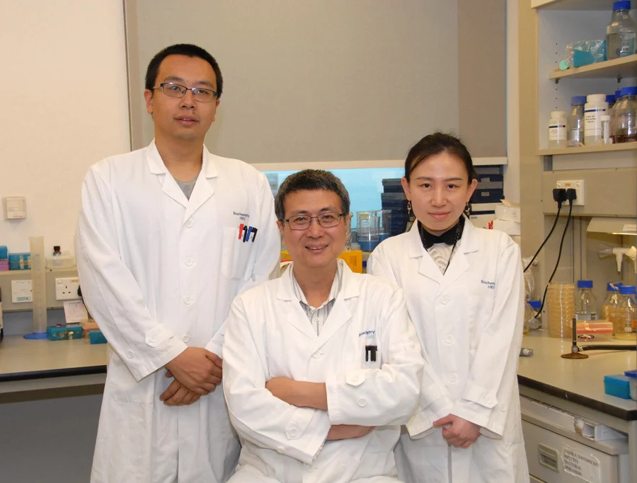 (From Left) Dr Bin Yu, Post-doctoral fellow, Professor Jiandong Huang, Professor, and Dr Lei Shi, Research Assistant of School of Biomedical Sciences, Li Ka Shing Faculty of Medicine, HKU successfully converted Salmonella into an anaerobe bacterium “YB1” which can suppress tumour growth.