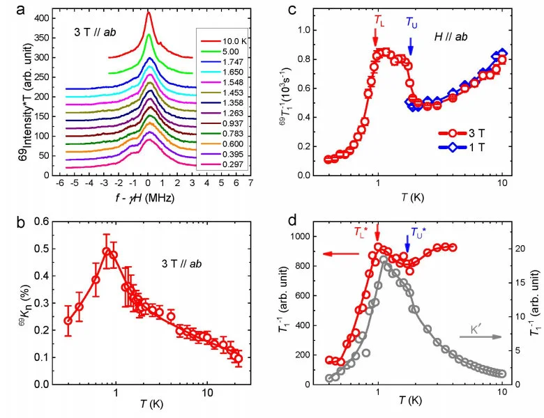 Figure 2. ﻿NMR spectra and spin-lattice relaxation rates of TMGO in ﻿(a), (b) and (c) and its theoretical computation  through large-scale QMC simulations in (d).  