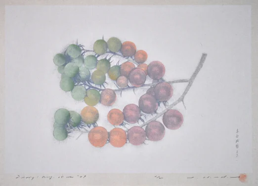 Storytelling in multi-layered print technique
Noda Tetsuya’s Diary of Contemporary Japanese Prints