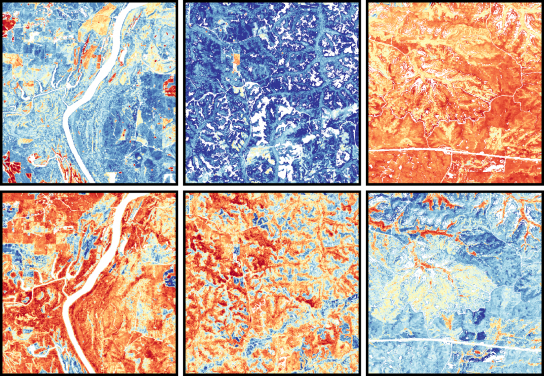 Mapping Plant Functional Diversity from Space: HKU Ecologists Revolutionise Ecosystem Monitoring with Novel Field-Satellite Integration